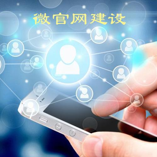 網(wǎng)站被降權(quán)懲罰后需要做的工作有哪些？